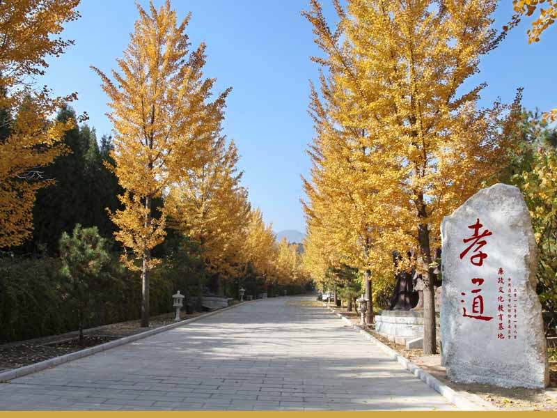 清东陵万佛园：皇家陵寝旁的往生净土（40